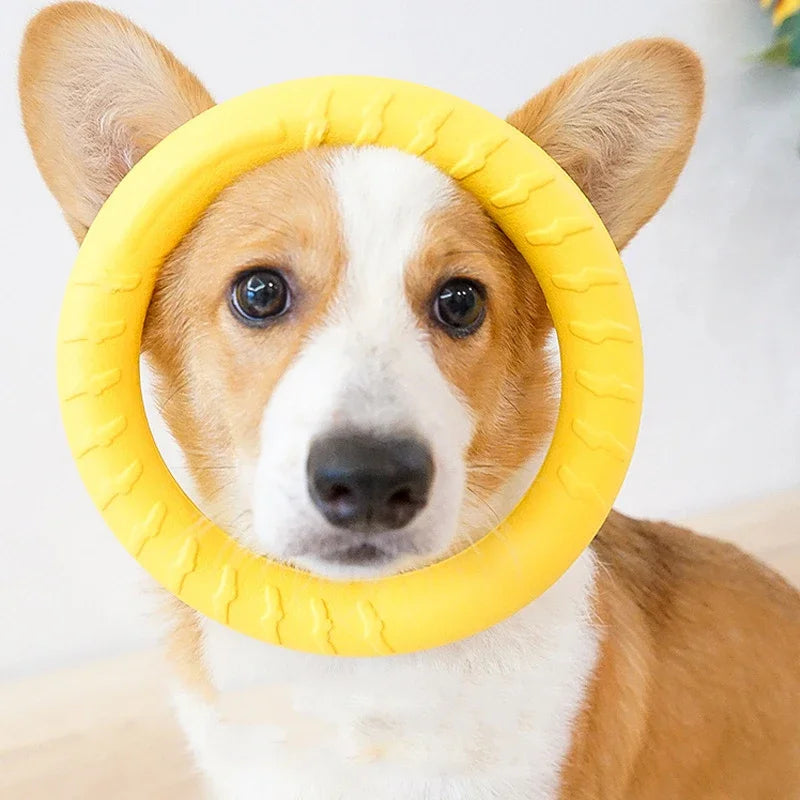 Bite Resistant Pet Chew Toy
