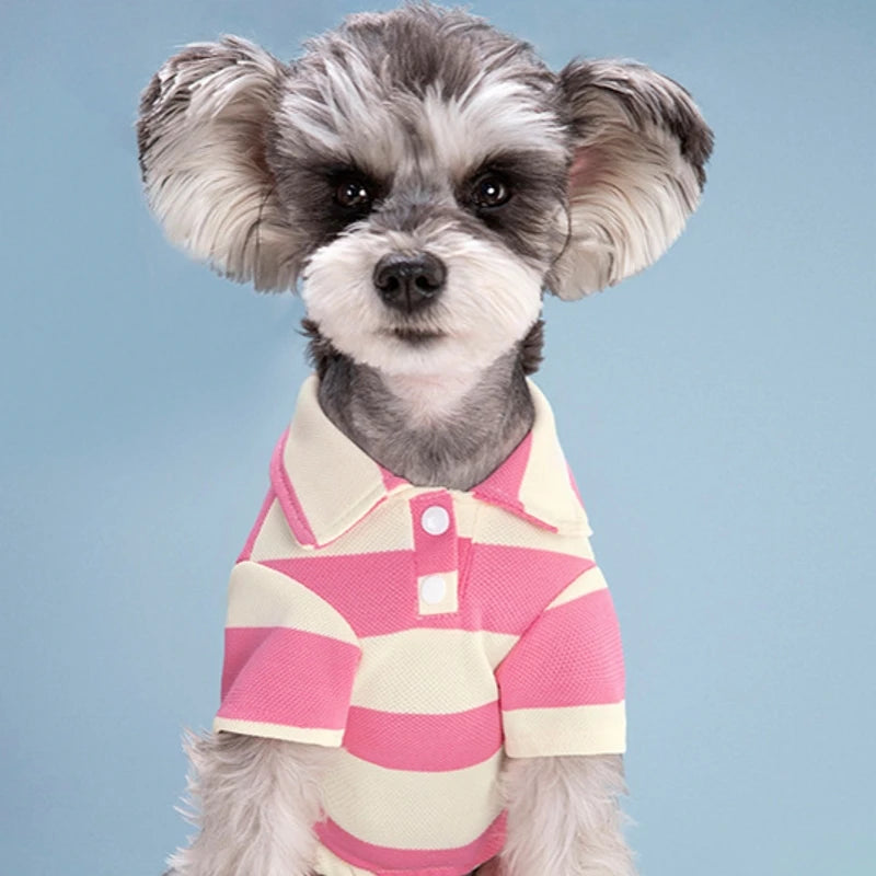 Polo shirt