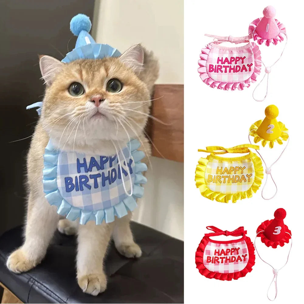 Cat Birthday Scarf Hat