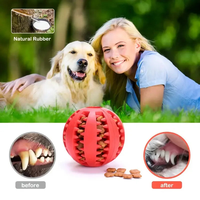 Toy ball (Clean teeth)