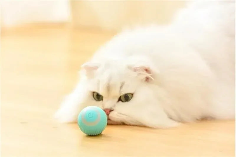 Smart toy