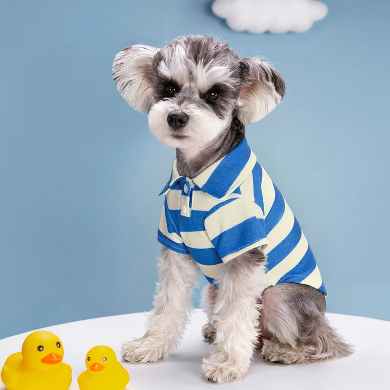 Polo shirt