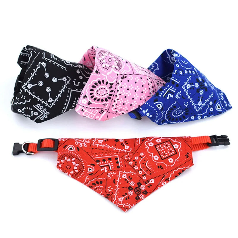 Cera scarf