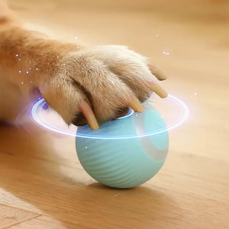 Smart toy