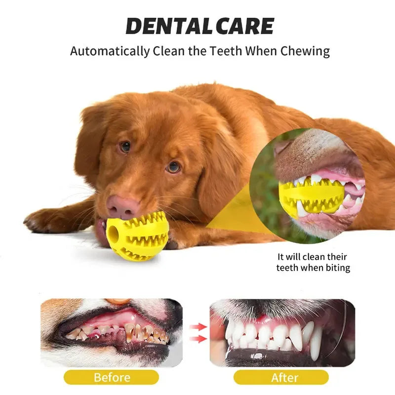 Toy ball (Clean teeth)