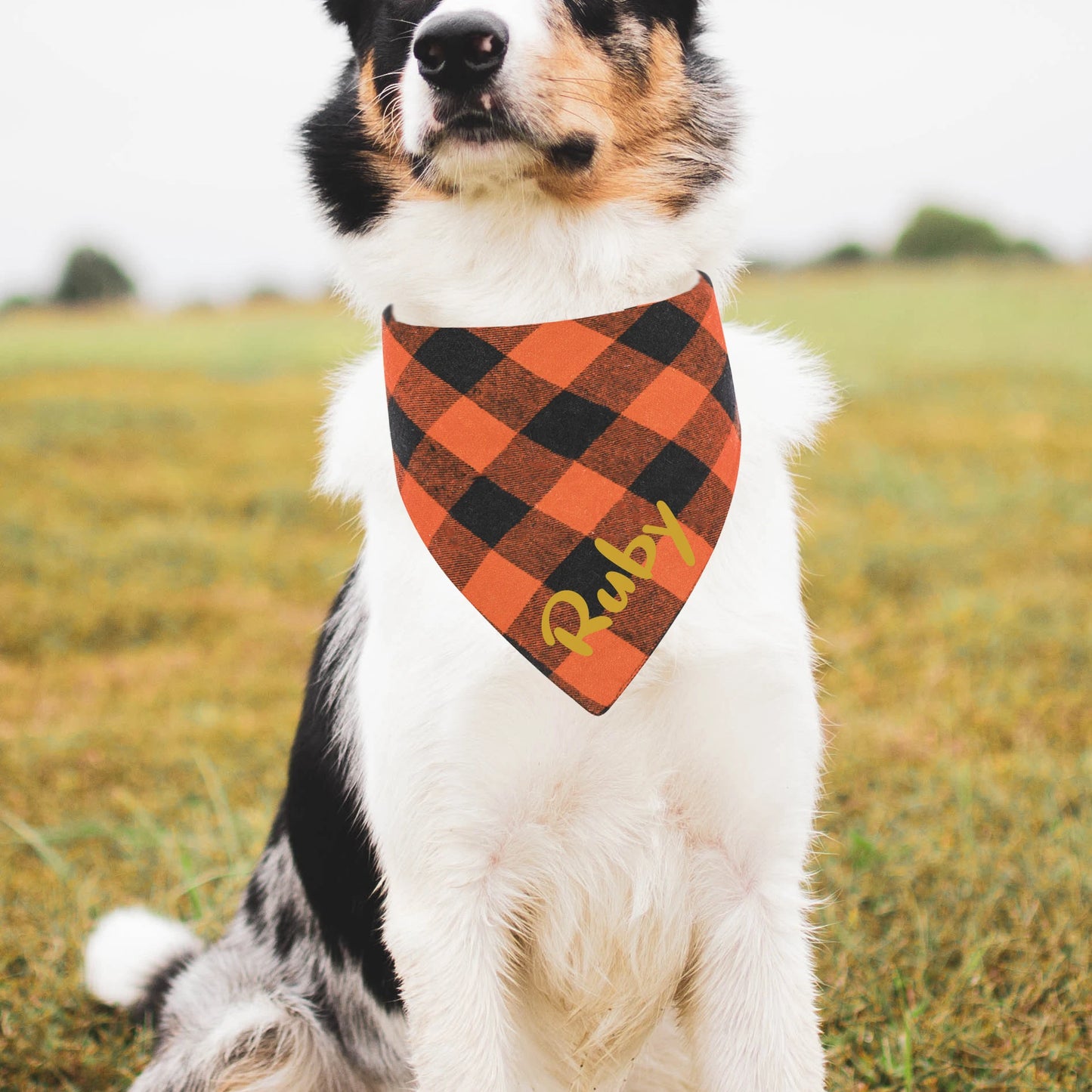 Customized Plaid scarf