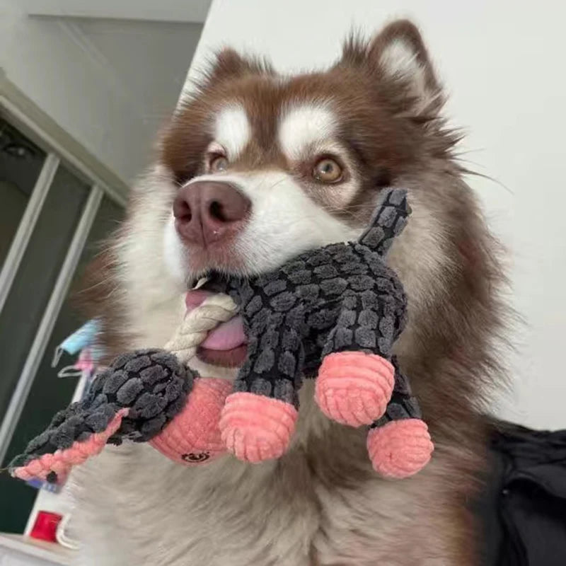 Dyf toys
