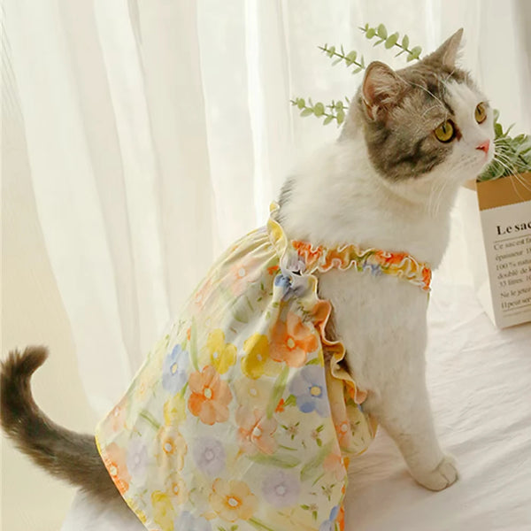 Summer dress