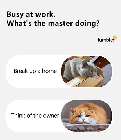 Toy ball (Clean teeth)